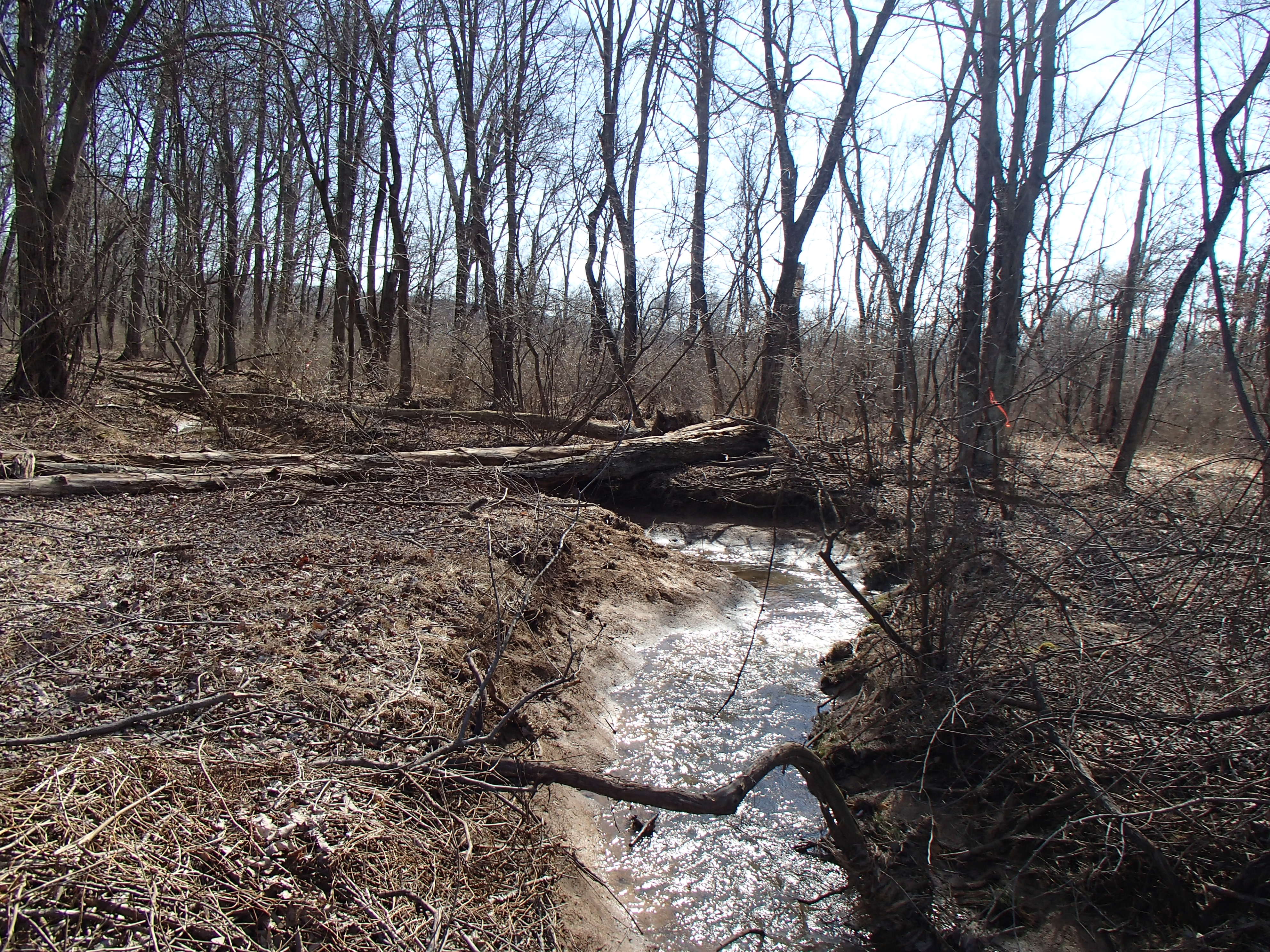 Field photo showing stream conditions at site JONE-204-R-2016_Midpoint downstream